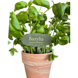 Tabliczki do ziół – zestaw 5 sztuk