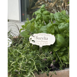 Set of 5 Stainless Steel Herb Labels