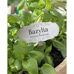 Set of 5 Stainless Steel Herb Labels