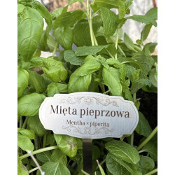 Zestaw 5 tabliczek do ziół ze stali nierdzewnej