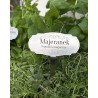Set of 5 Stainless Steel Herb Labels