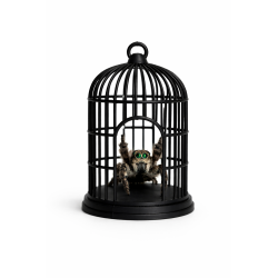 Decorative Terrarium Cage – Ornamental Hide | 3D Print